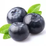 shutterstock_220363507