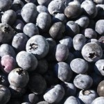 Bowerman-Blueberries-Facebook-Page-2-300x270